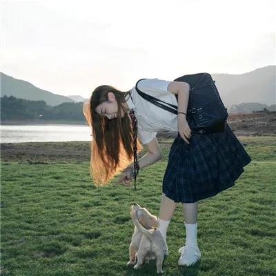完美伴侣2025